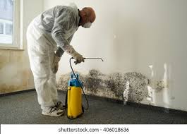 Best Environmental Consulting for Mold Prevention  in Adamsville, TN